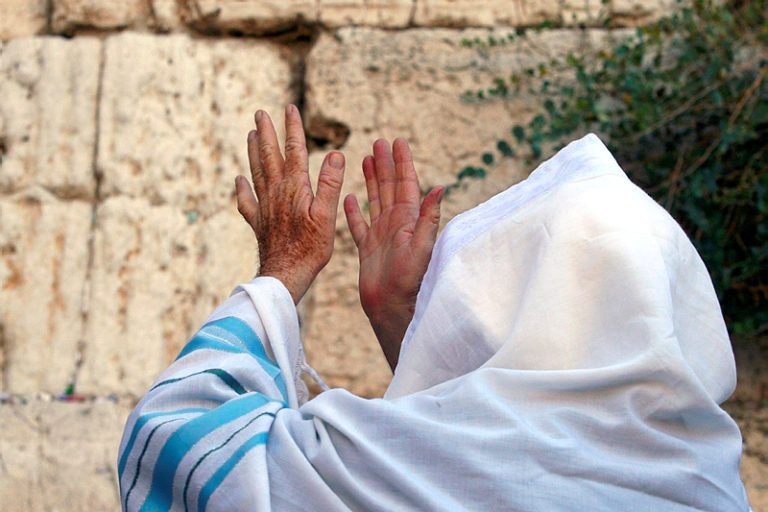 Фото из свободного источника