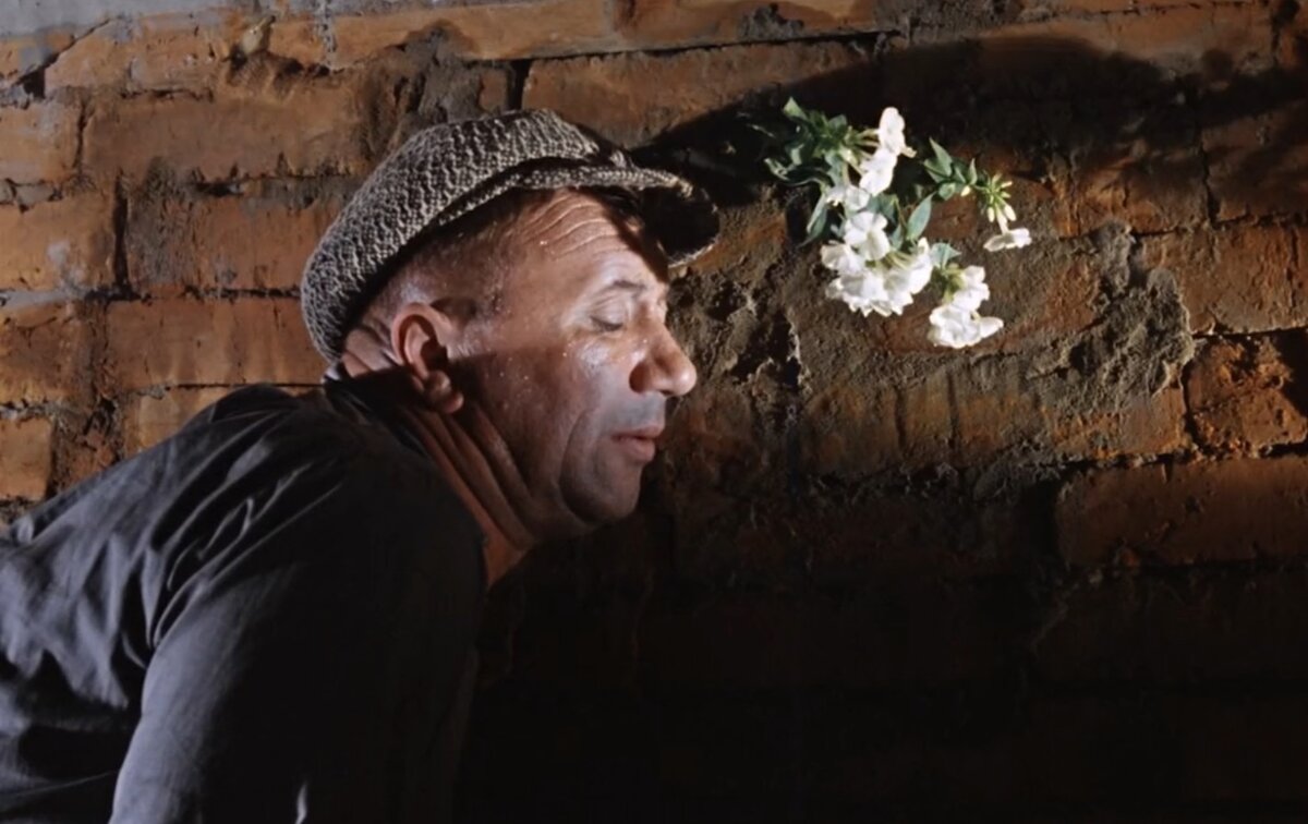 Кадр из фильма "Операция "Ы" и другие приключения Шурика", эпизод "Напарник".