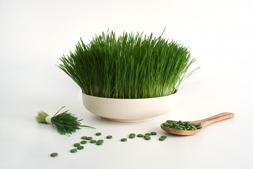 Картинка взята в интернете.