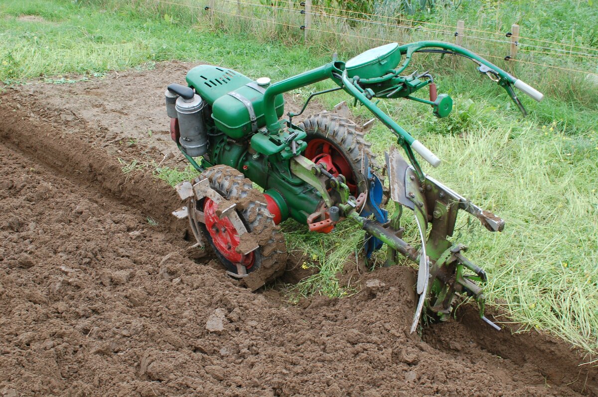 Фото: Яндекс. Картинки.