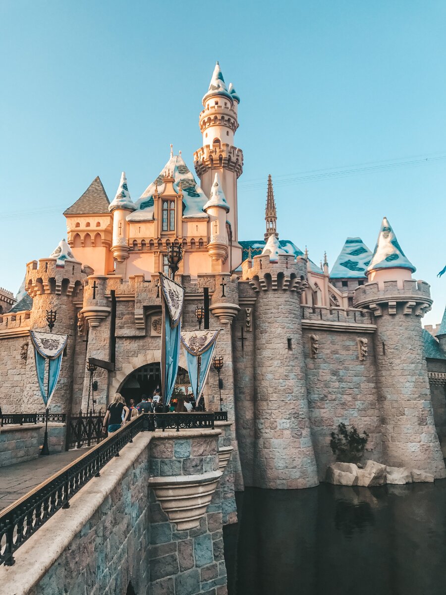 Disneyland — самый популярный вид!