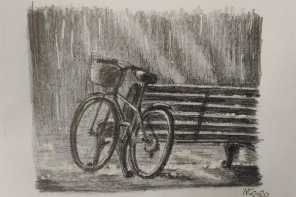 Иллюстрации: NG декабрь 2020 ©