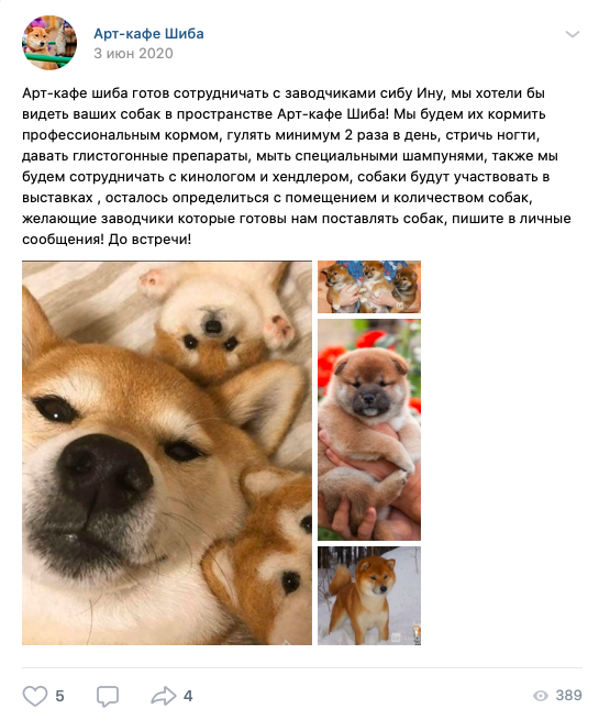 "Готовы нам ПОСТАВЛЯТЬ собак..." - каково, а? Будто речь идет о бананах, а не о животных