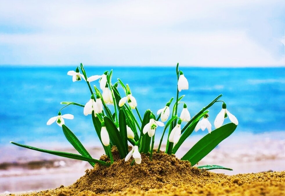 фото из открытого источника