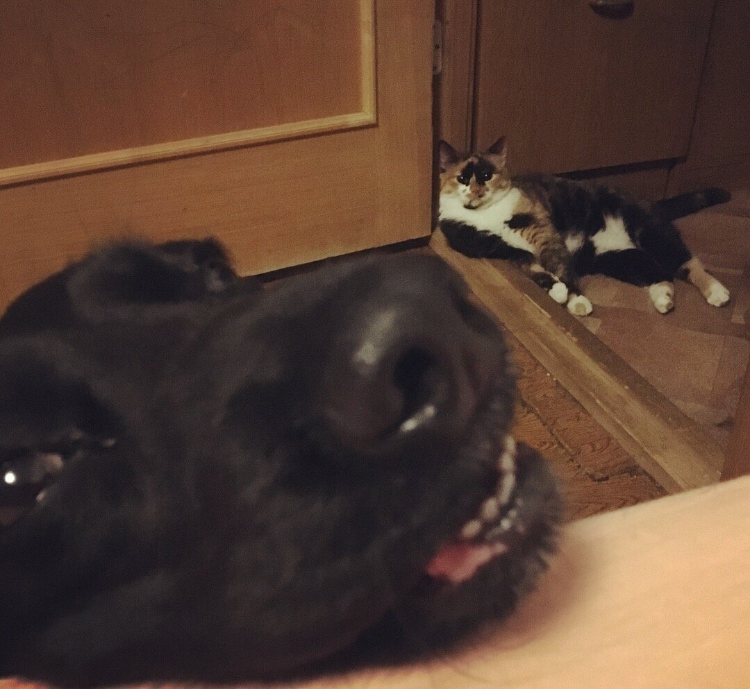 но за тобой уже следят...