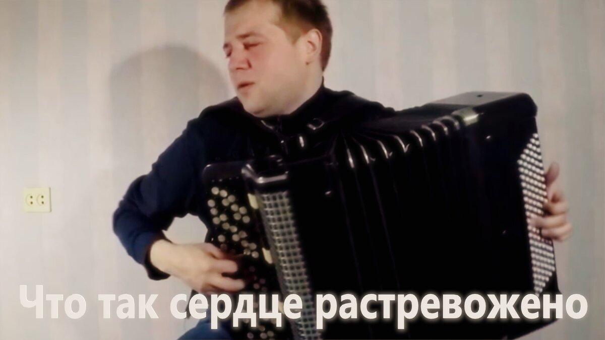 Валерий Петров баянист. Виталий Дмитриев баянист. Михаил Тоцкий баянист. Баянист Алексей Васин.