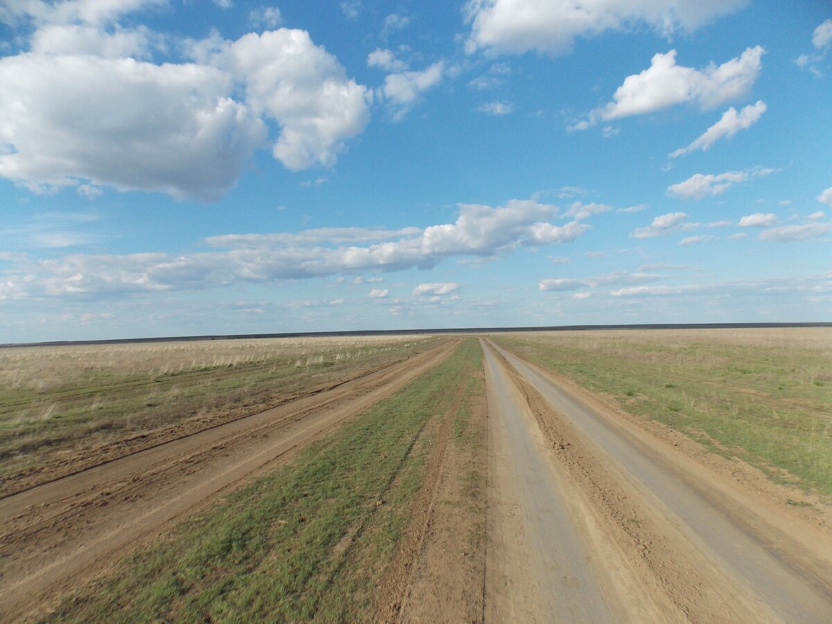 Куриловская Тюльпанная степь