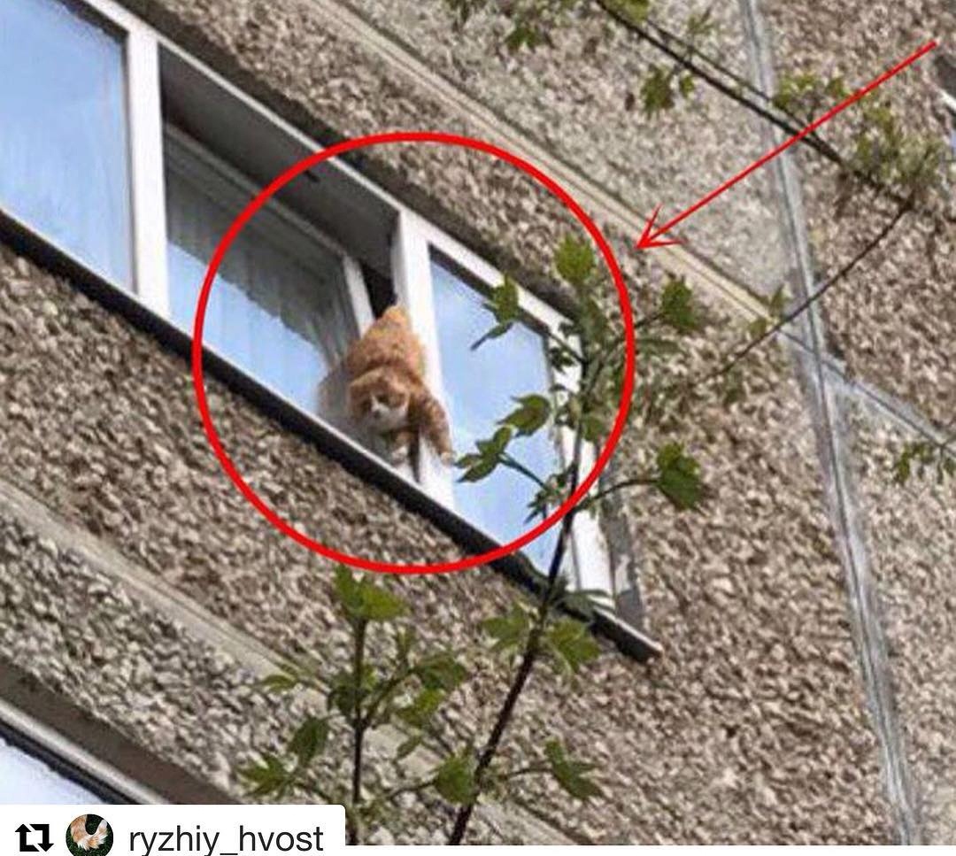 Краш синдром