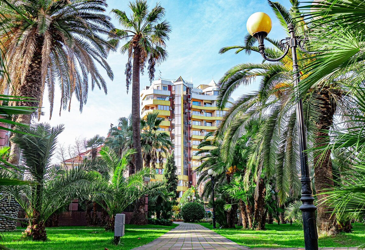 Февраль в Сочи