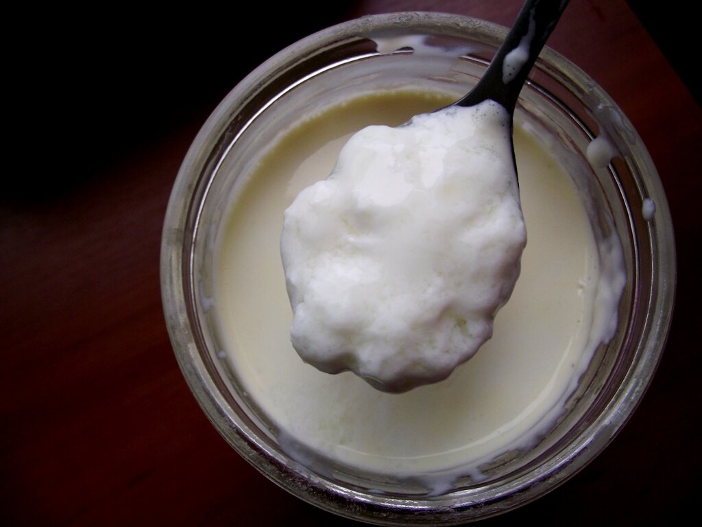 Как сделать йогурт в домашних условиях, расскажет сайт «Едим Дома»
