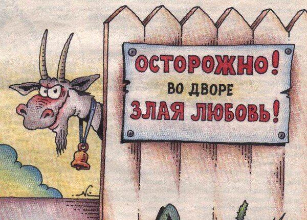 Яндекс-картинки.