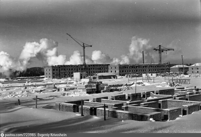 Строительство Академгородка в 1959-1962 г.г. Из открытых источников.