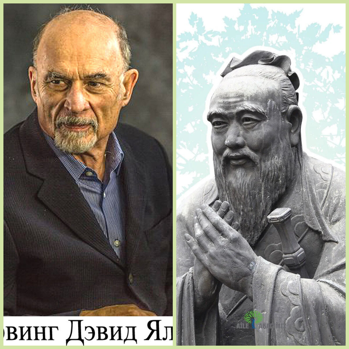 Изображение из сети интернет и в свободном доступе