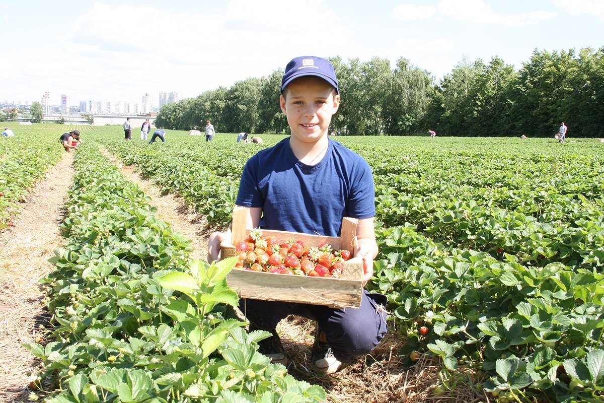 Прогноз совхоз. Прогноз совхоз. Работники сельского хозяйства. Зао совхоз имени ленина ферма. Ао совхоз корсаковский сахалинская область.