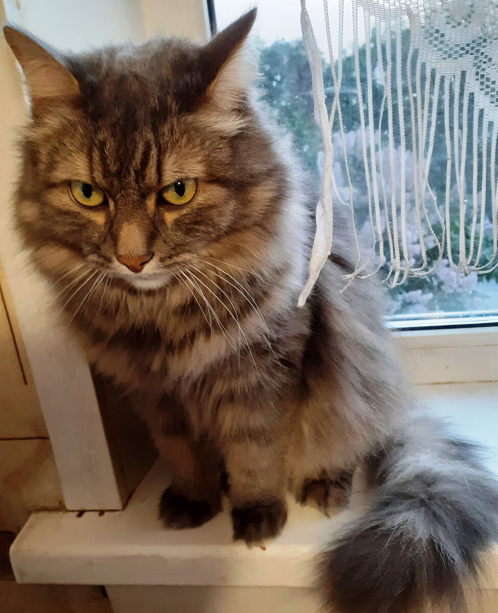 Вений: "Я кого хочешь уговорю и победю силой слова и мысли!"