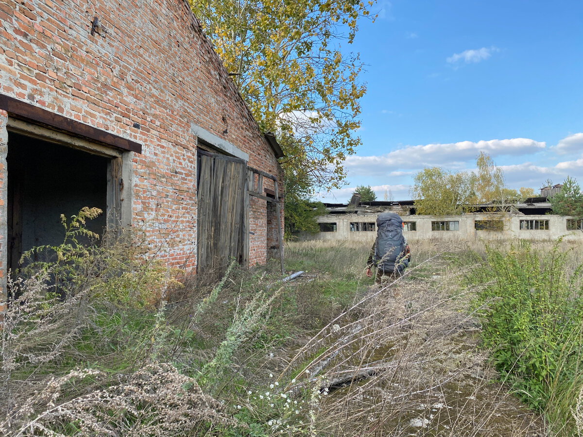 Чернобыльская зона