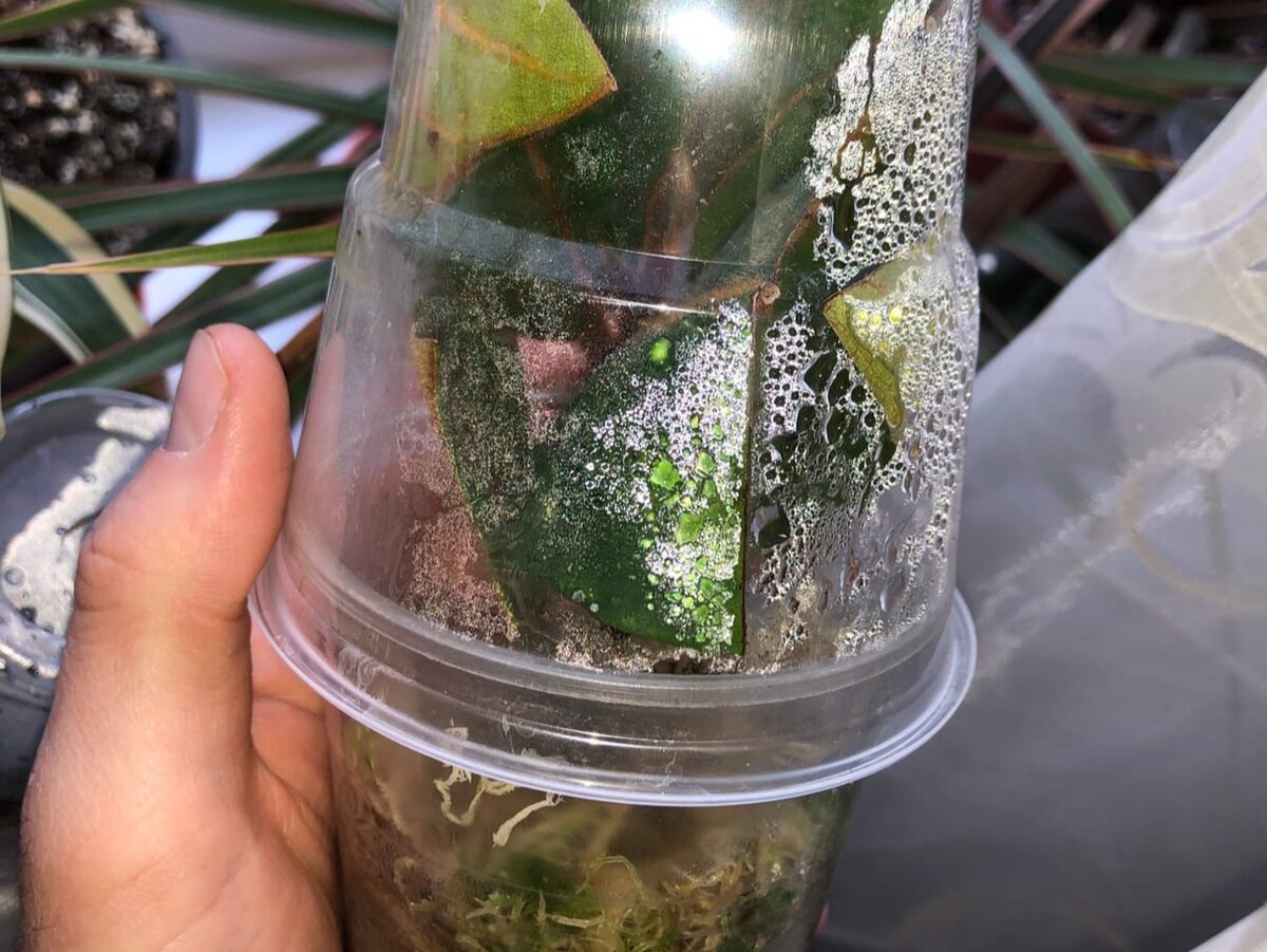 Фото: Юрий Гончарюк