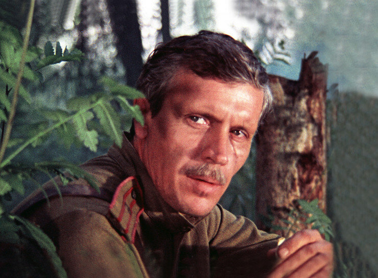 Владлен Бирюков. Источник фото: https://www.starhit.ru