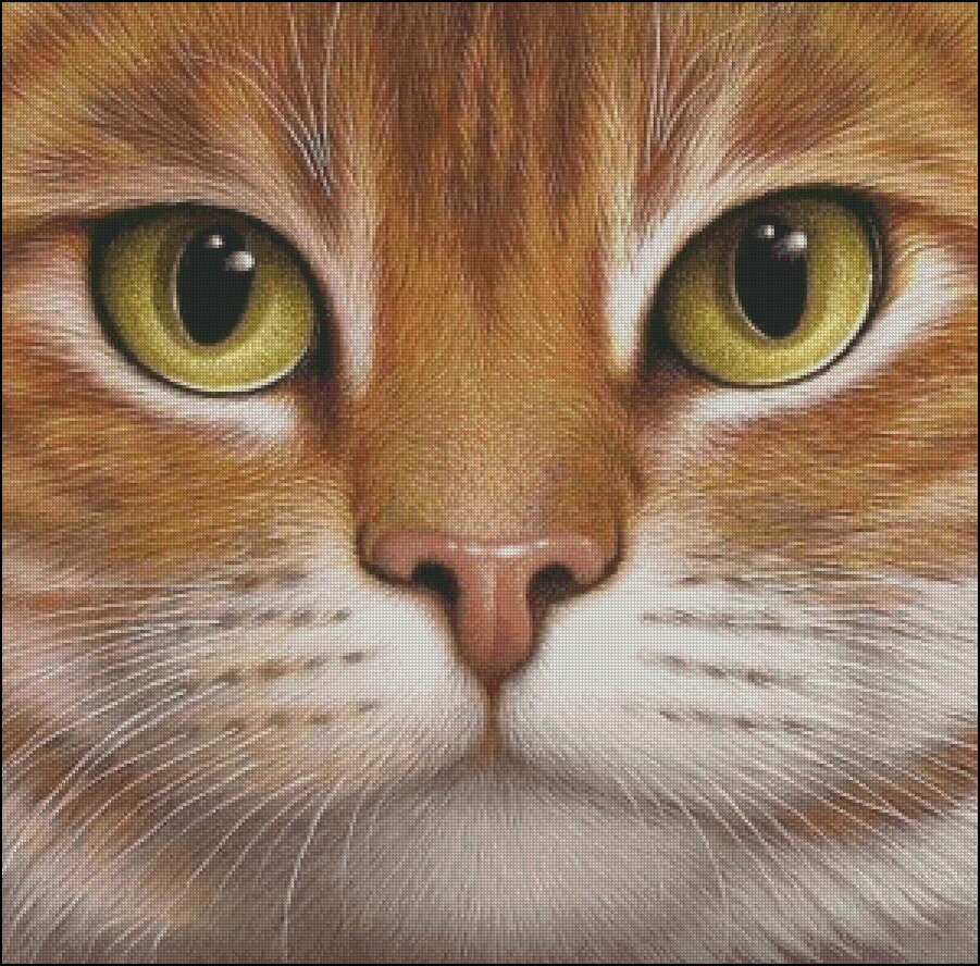 Источник группа ВК "Чеширский кот"