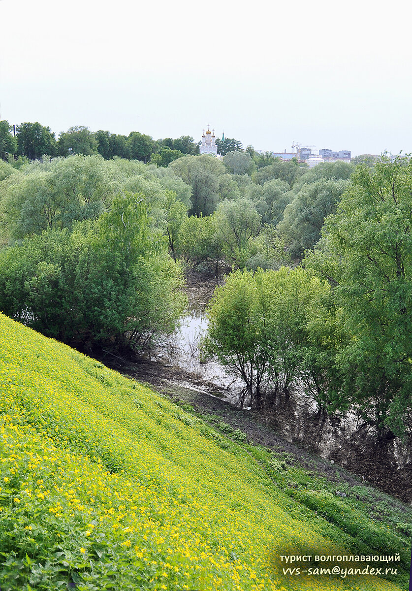 Фото 15.05.2013.