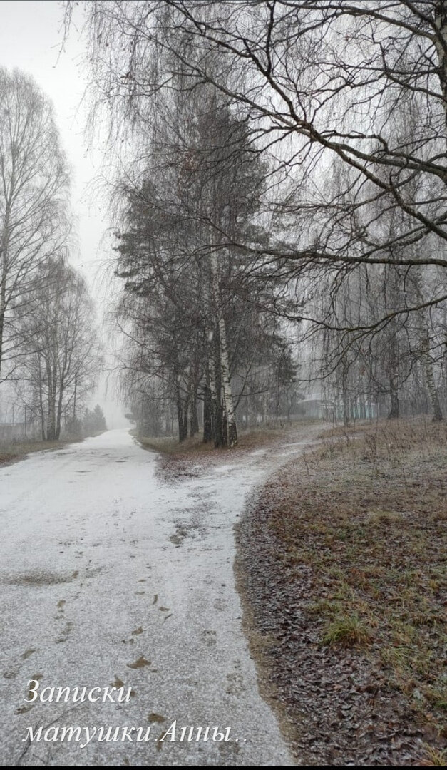 Ноябрь в селе (фото дочери автора)