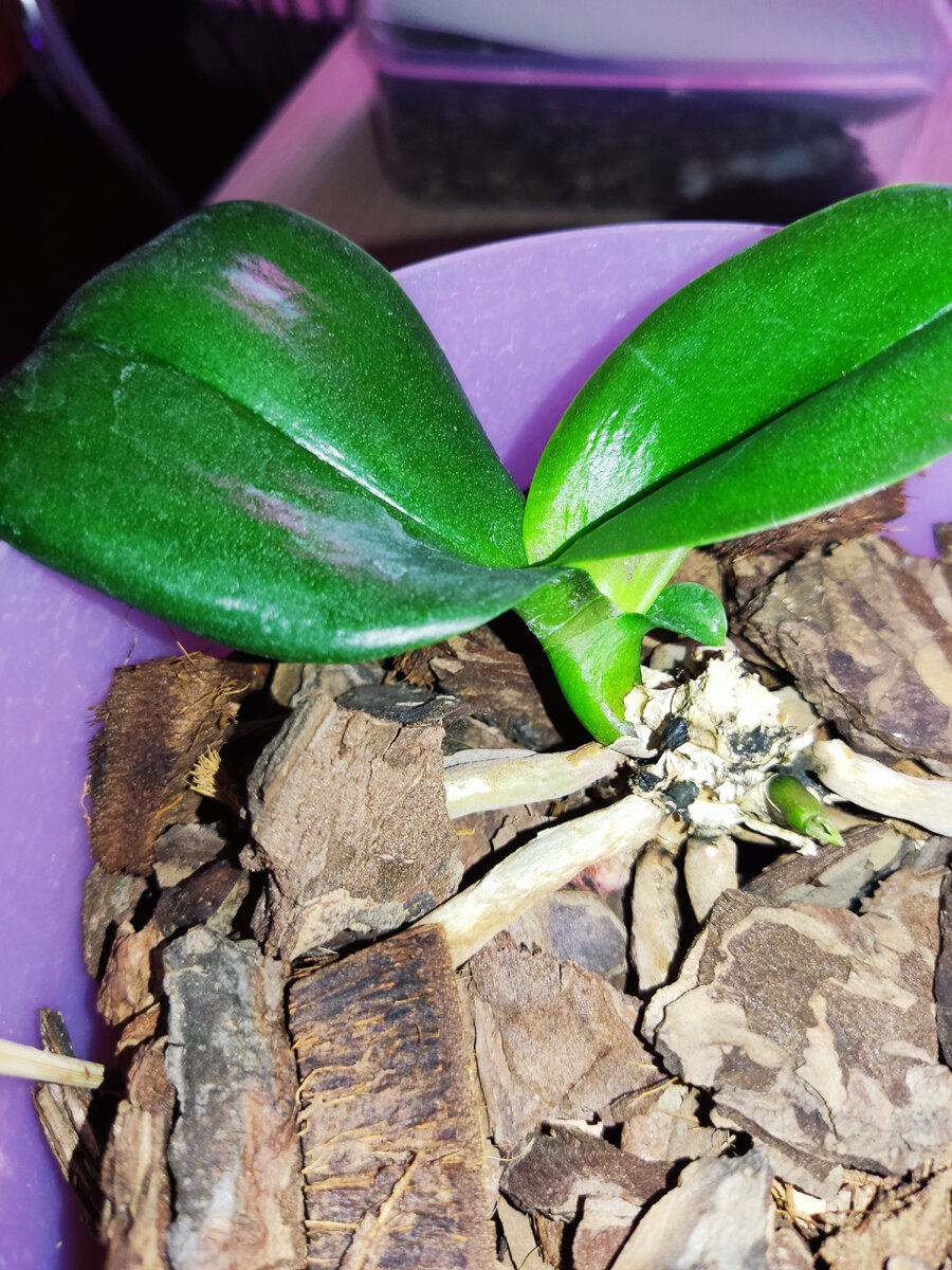 Так было  05.11