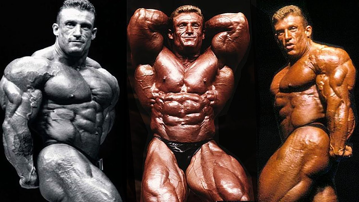 фото взято из интернета.