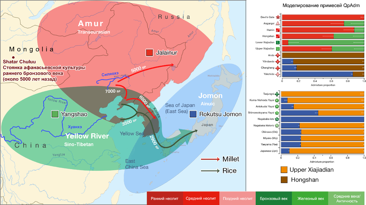 Так называемая алтайская гипотеза в узкой версии предполагает общее происхождение для тюркских, монгольских и тунгусо-маньчжурских языков, а в широкой версии к ним добавляют корейский и японский языки.-13