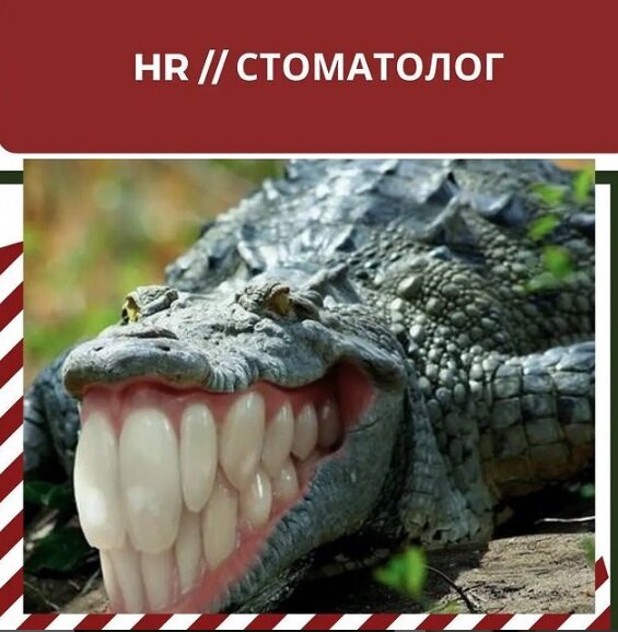 стоматолог