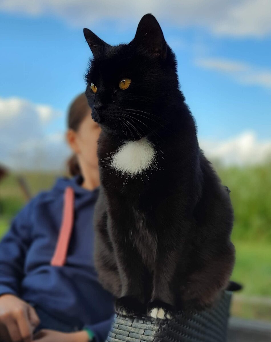 Очень приятно - Тина:)