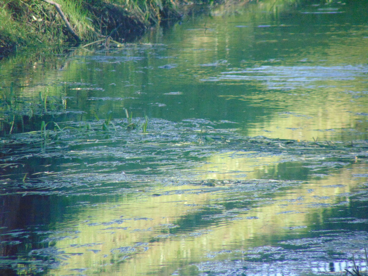 Фото автора канала