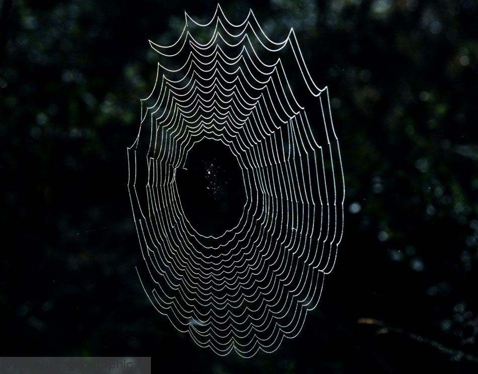 Залип в ситуации