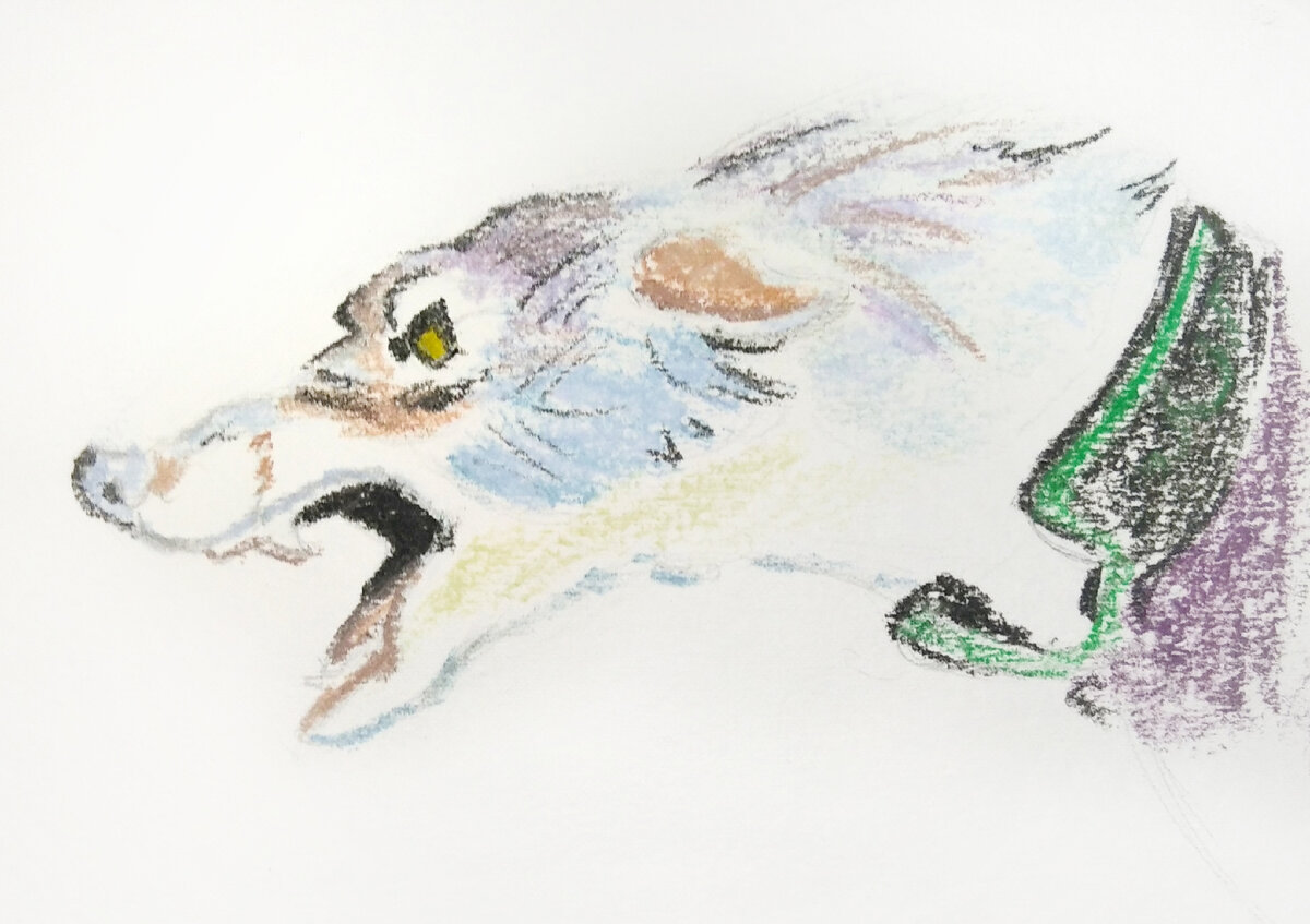 Добавить картинку