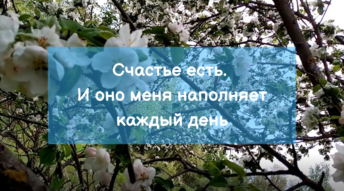 Я проводила опрос на тему аффирмации, и есть люди, которые не знают что это  такое. Разбираемся вместе | Поход за здоровьем | Дзен