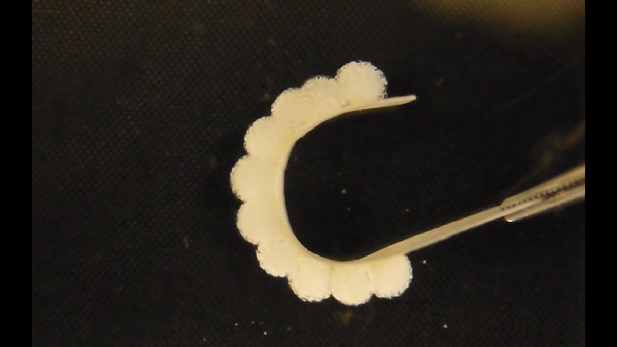 Типичный вид рабочей части гидрогелевого привода