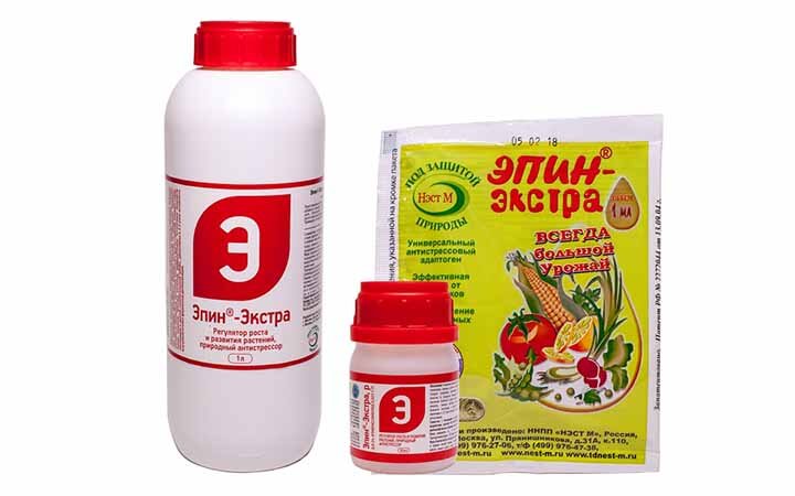 Эпин помогает растениям пережить весенние заморозки