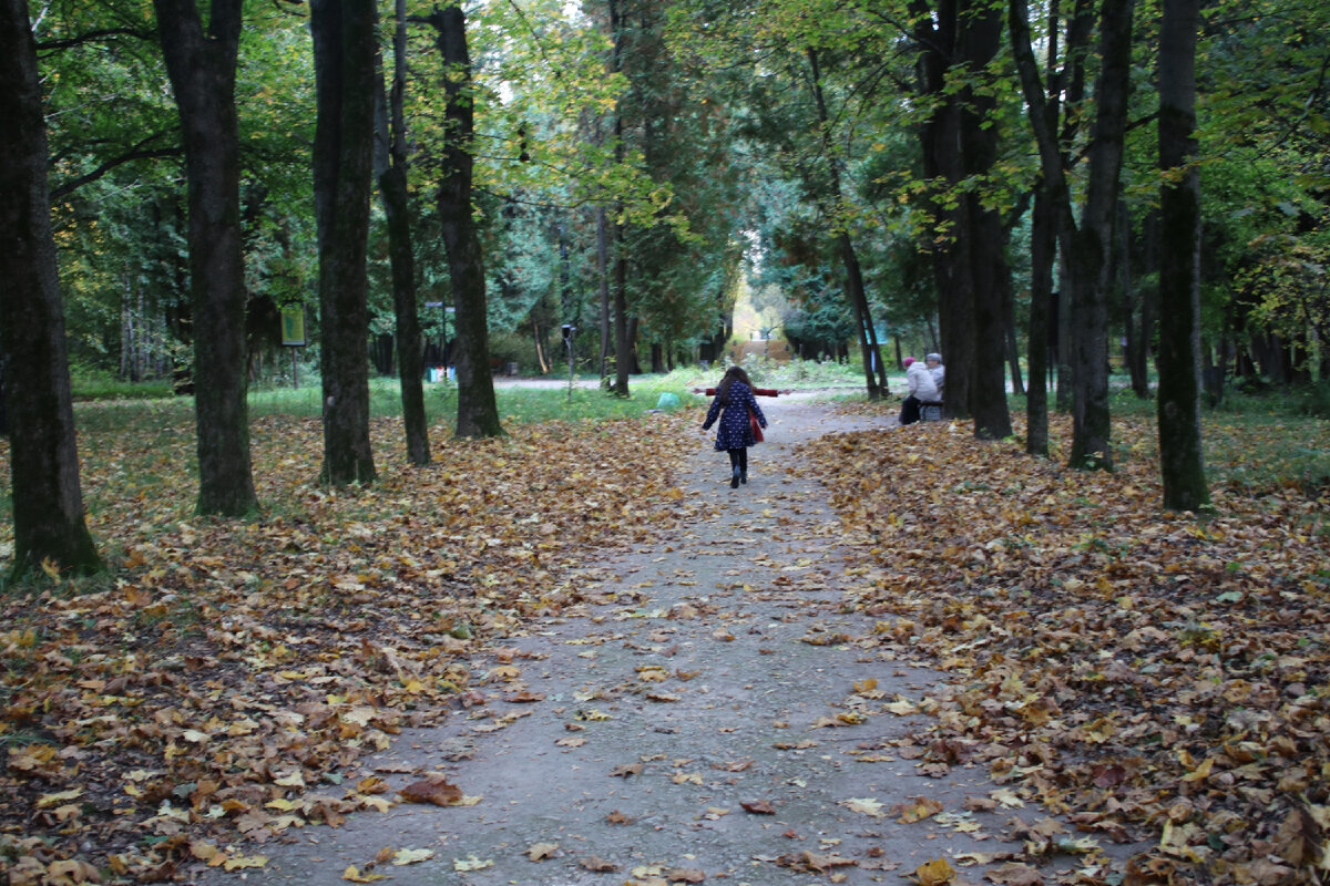 Соня, дендропарк, 2020