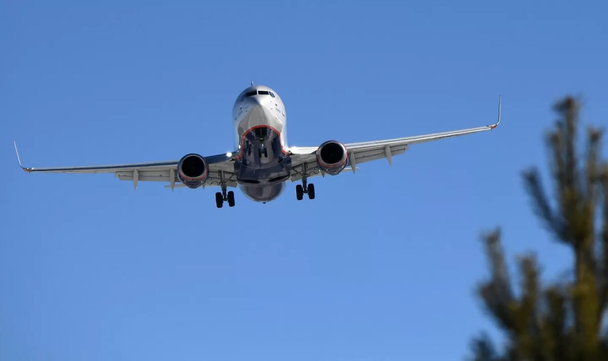 © Sputnik / Илья Наймушин 