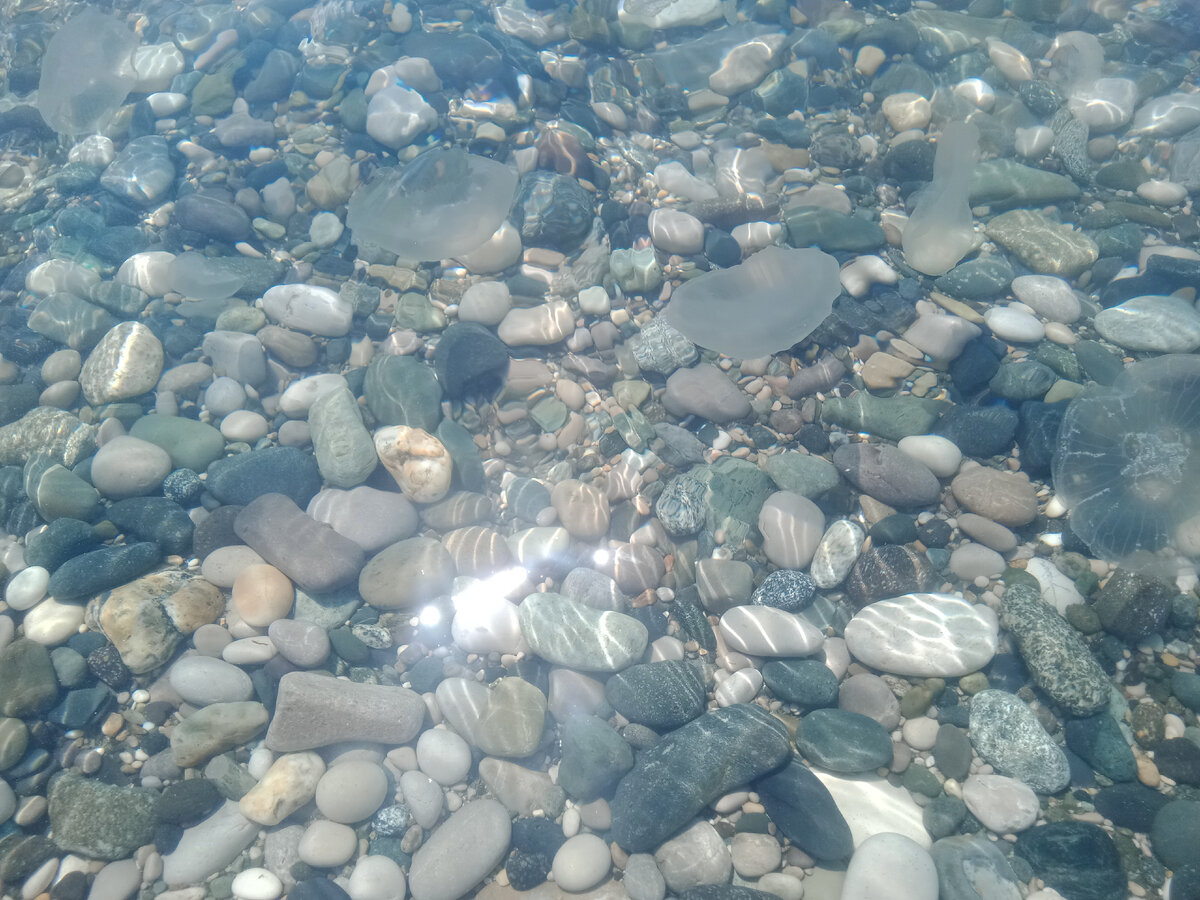 заходить в воду с такими "соседями" нет никакого желания