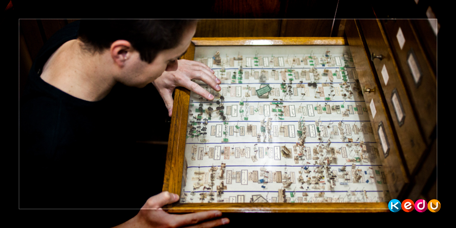 Designed by Karolina Fok/commons.wikimedia.org