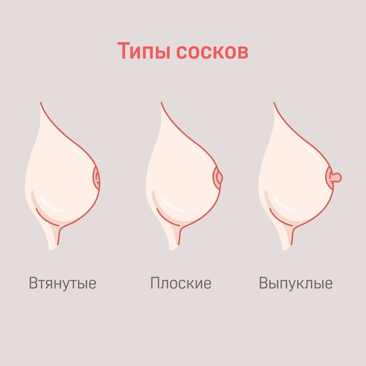 Женские соски - виды, размер и цвет - интересное о груди женщины.