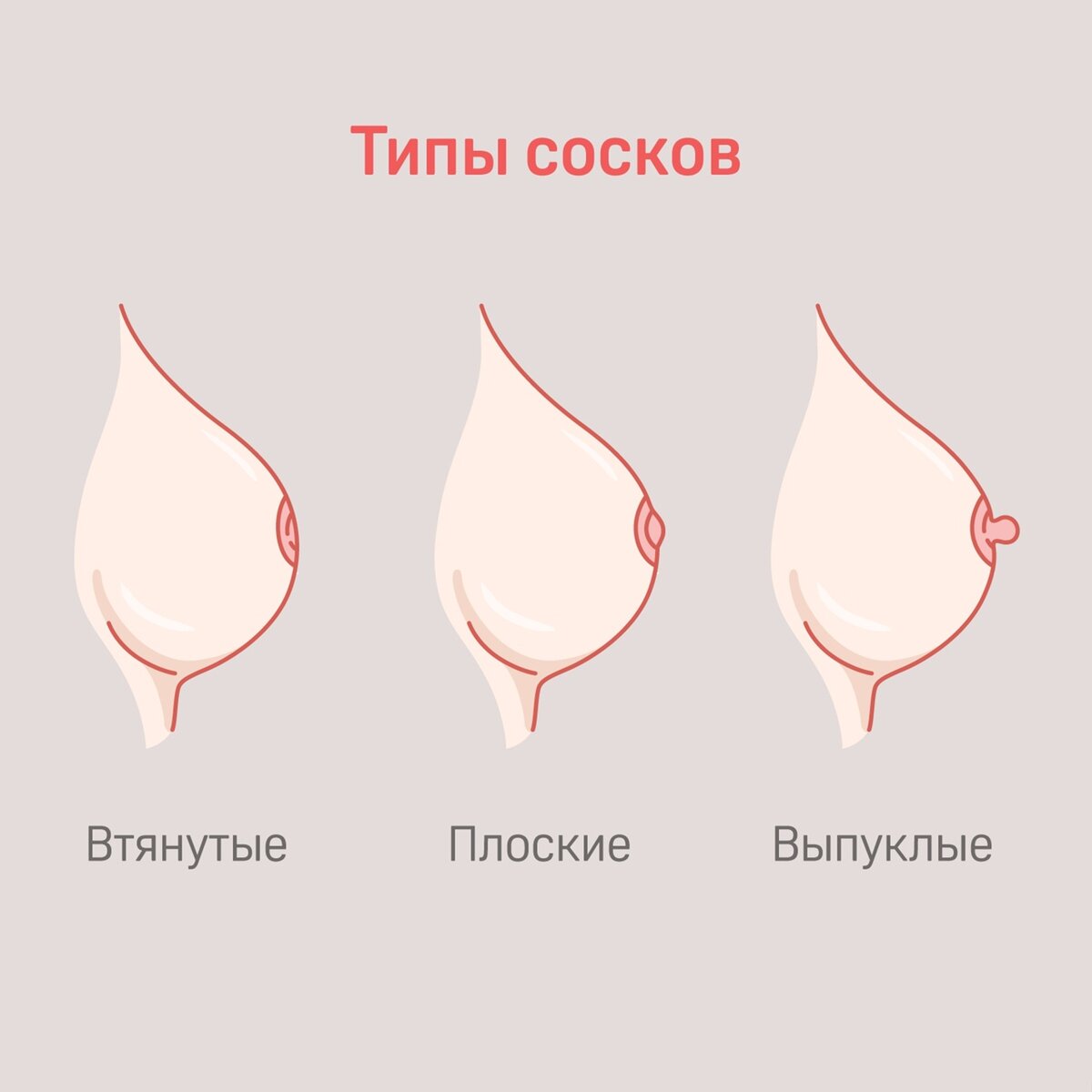 Типы сосков