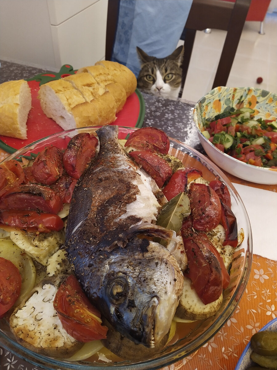 Все фото в статье мои.