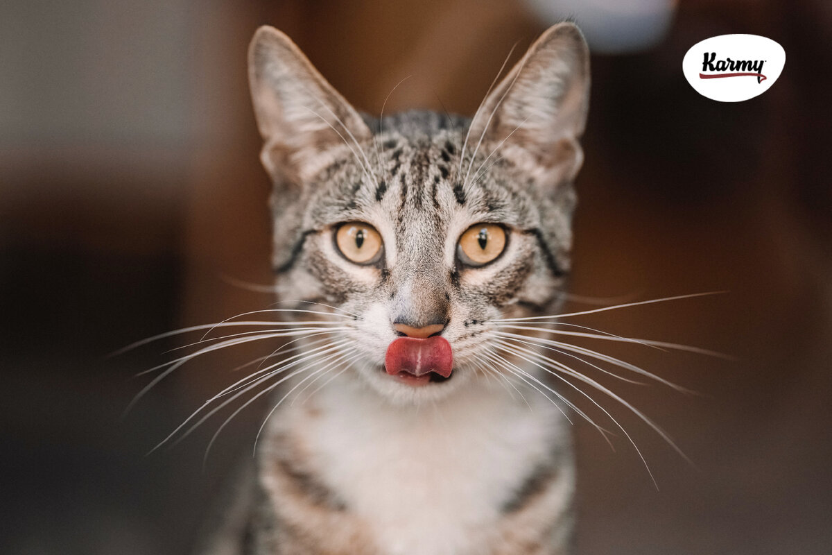 Авторское изображение с использованием картинки с фотостока "Unsplash"