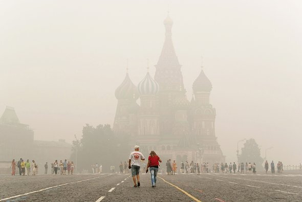    Фото: Viacheslav Lopatin / Shutterstock / Fotodom