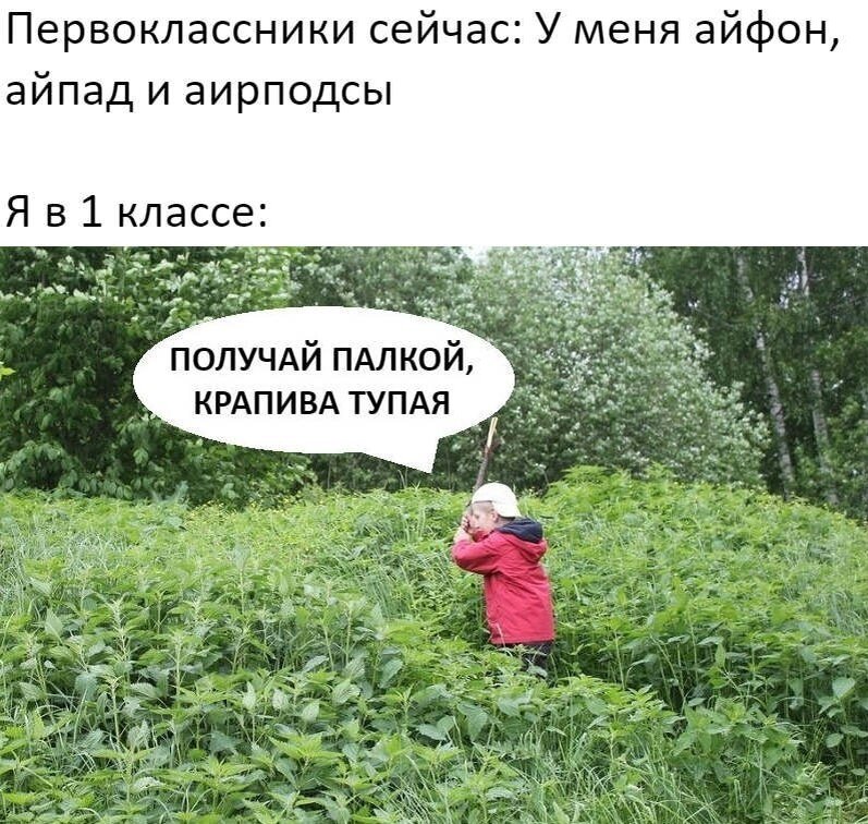 Яндекс.Картинки