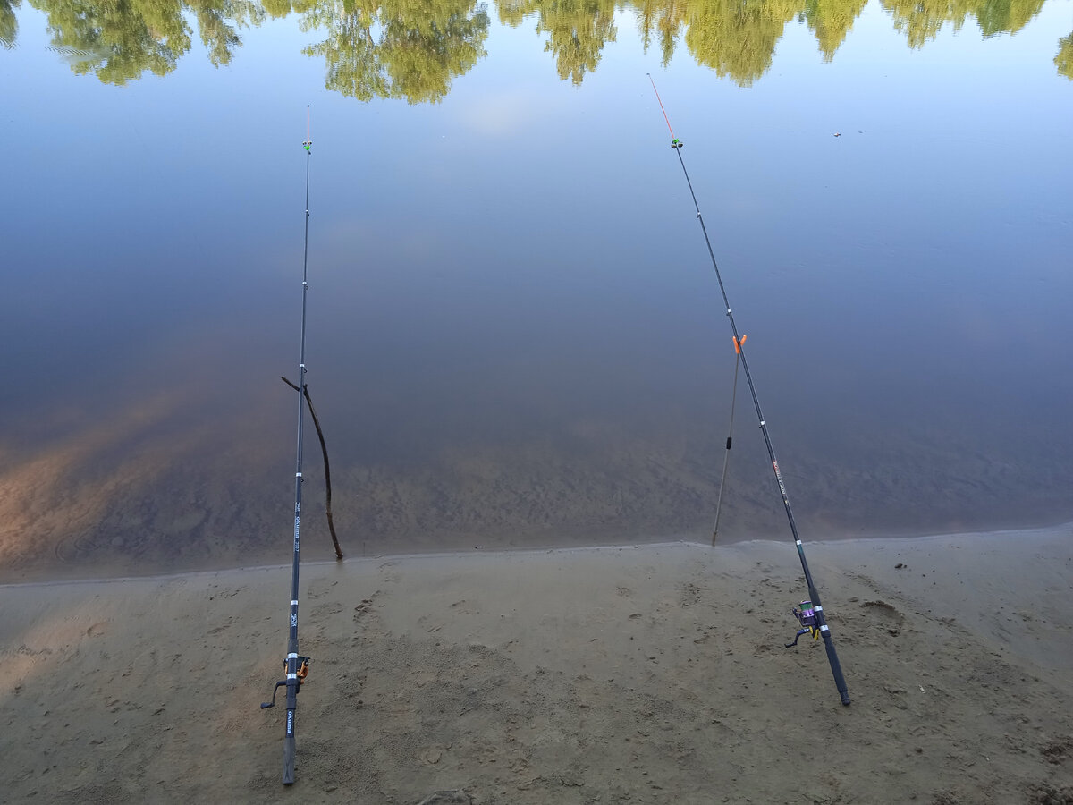 Наши фидеры. Фото автора, 20 августа 2022г.