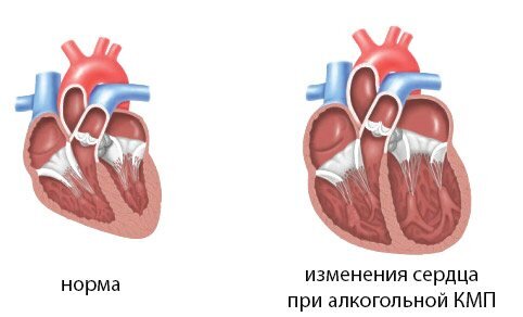 Источник: Яндекс-картинки 