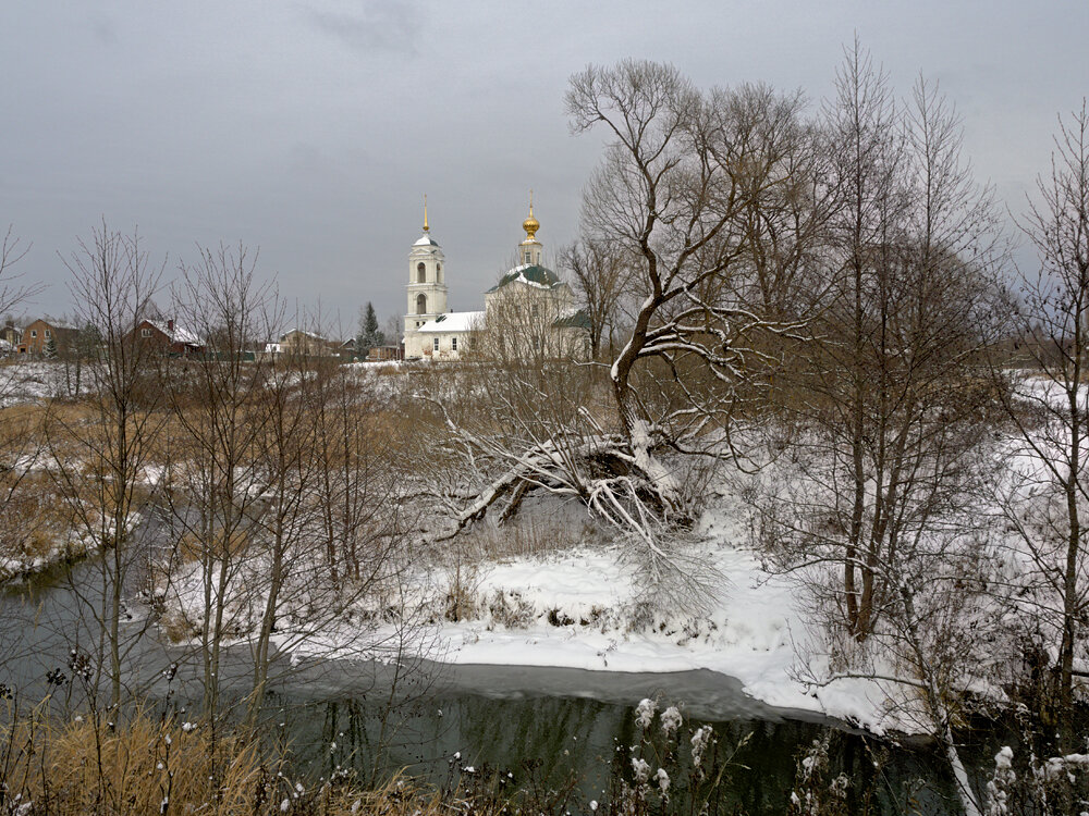 На берегу Молохты.