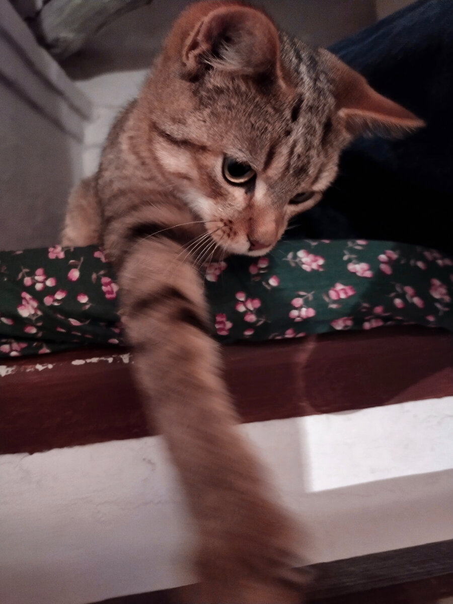 Всем добрый хвать!